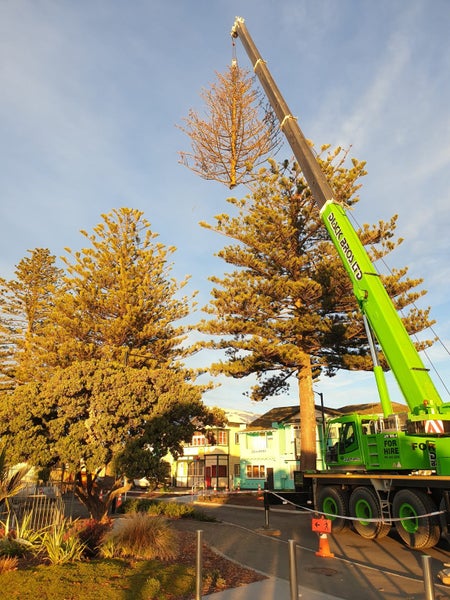 Superior Exterior Treecare Ltd Carousel 2