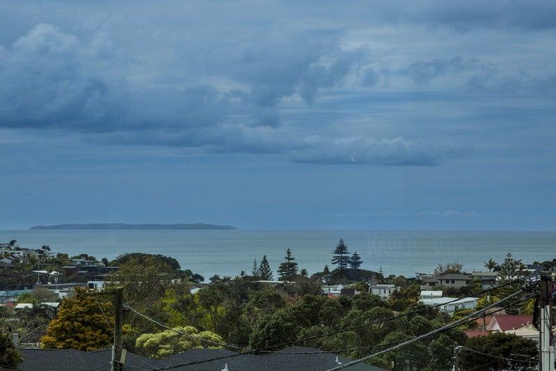 Image 2 of 20