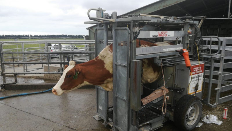 Veehof Dairy Services ltd Carousel 2