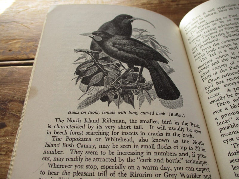 RARE BOOK !!!!! UREWERA NATIONAL PARK 1968 Edition Carousel 2