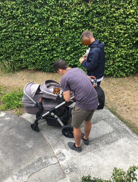 Silver Cross Wave Single-to-Double Pram Carousel 2