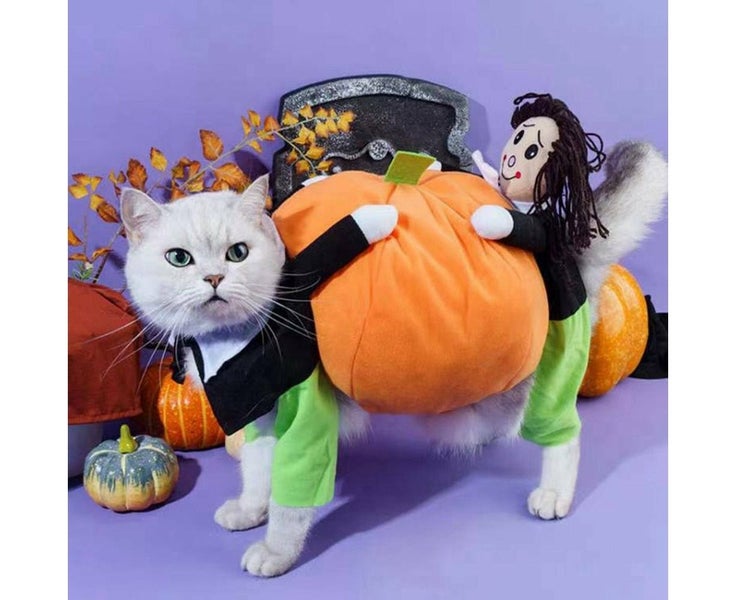 Funny Pumpkin Cosplay Pet Costume - Orange Carousel 2