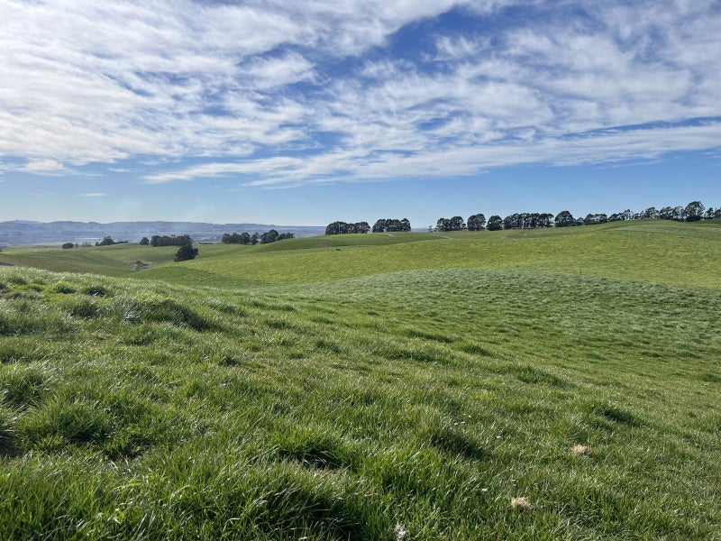 Image 2 of 30
