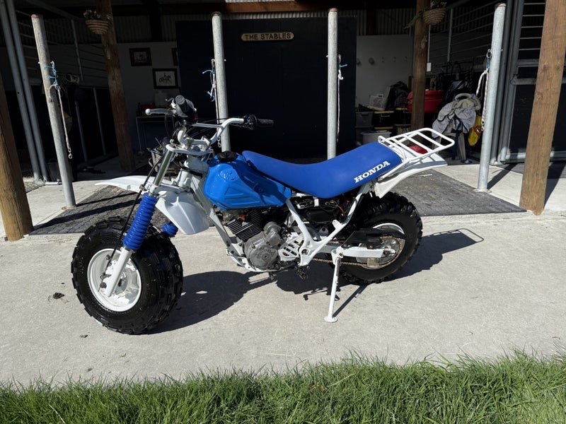 Honda Fatcat TR200 198664612827103618111