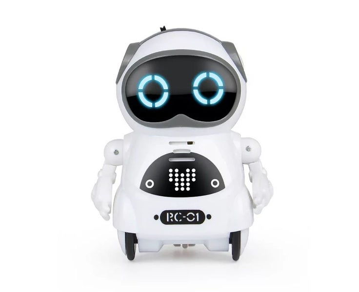 Pocket RC Robot Talking Interactive Dialogue Voice Recognition Record Sing Gi Carousel 1