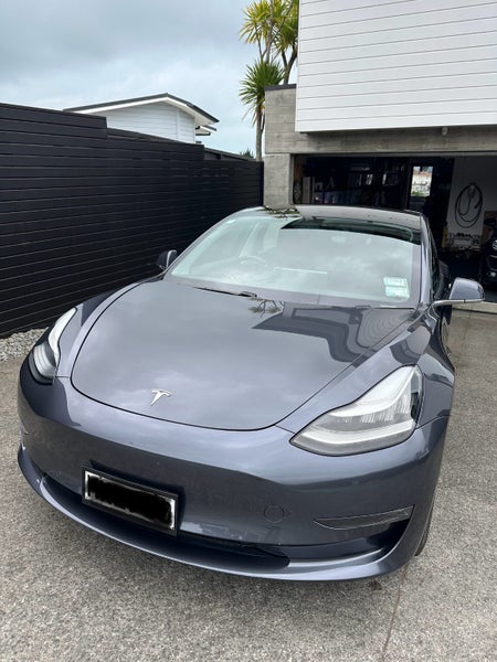 2019 Tesla Model 3 Standard Range+63798940471170113