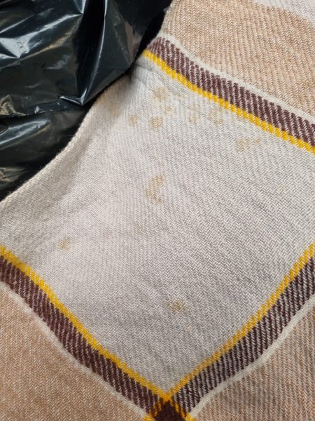 NZ Travel Rug - Onehunga Carousel 6