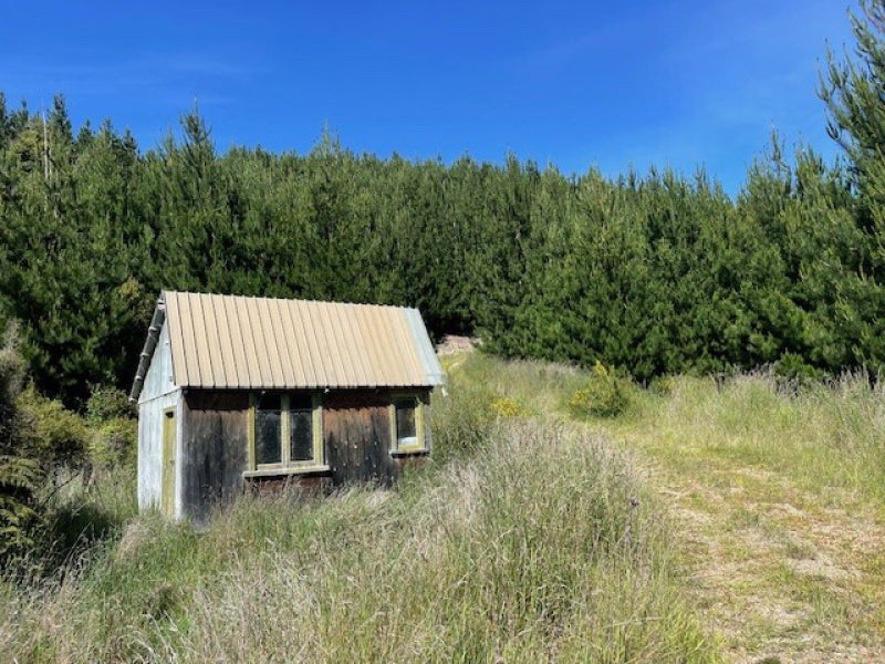 East Otago Forestry or Hunting Block63884651678338112
