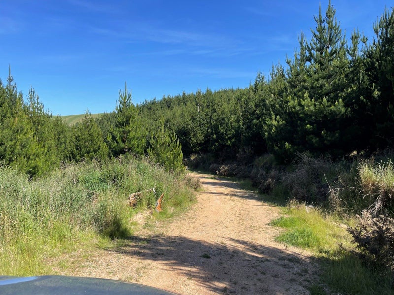 East Otago Forestry or Hunting Block63884651678338111