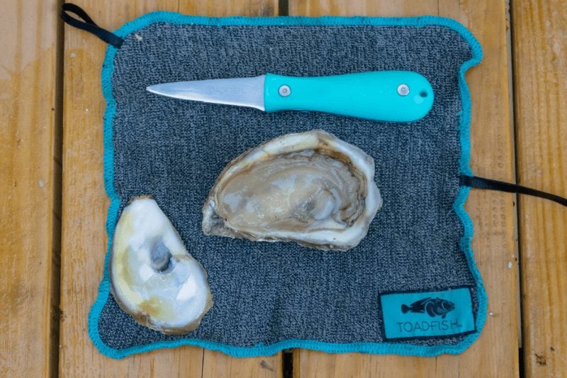 Toadfish Put 'Em Back Oyster Knife Teal Japanese Stainless Steel Carousel 2