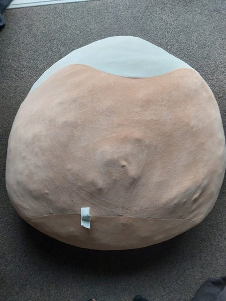 Cinnamon bun squishmallow Carousel 2