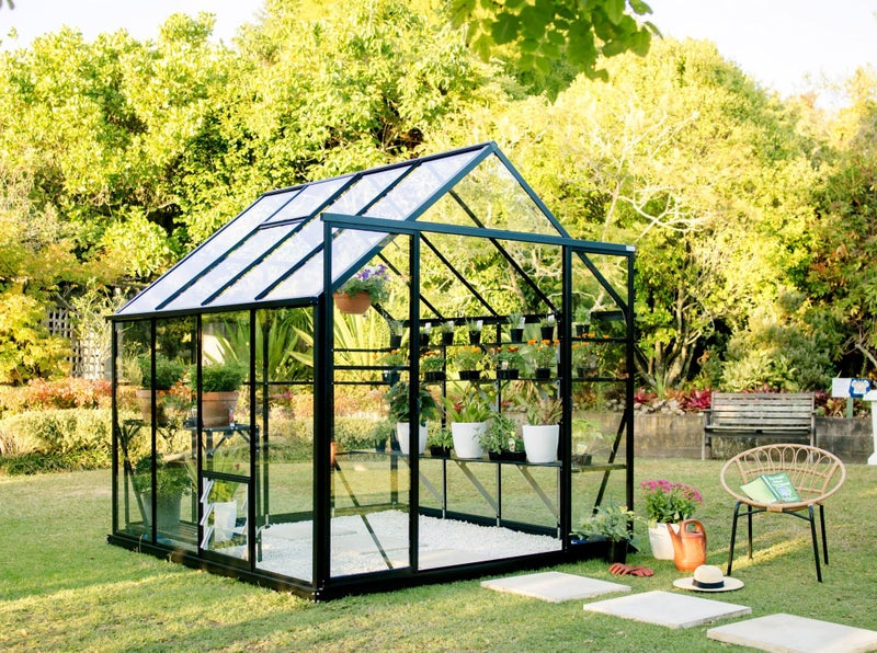Winter Gardenz 8x10 Greenhouse with 4mm Toughened Safety Glass