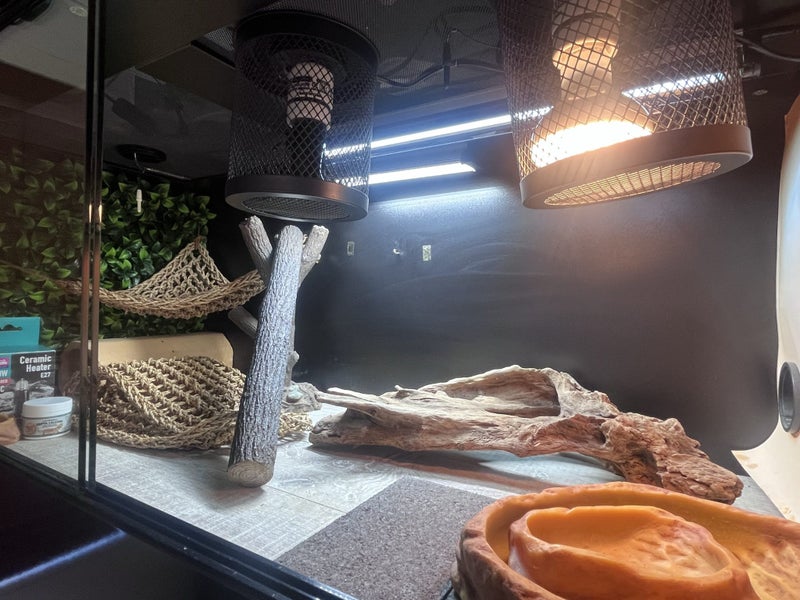 Bearded dragon terrarium x1 Carousel 2