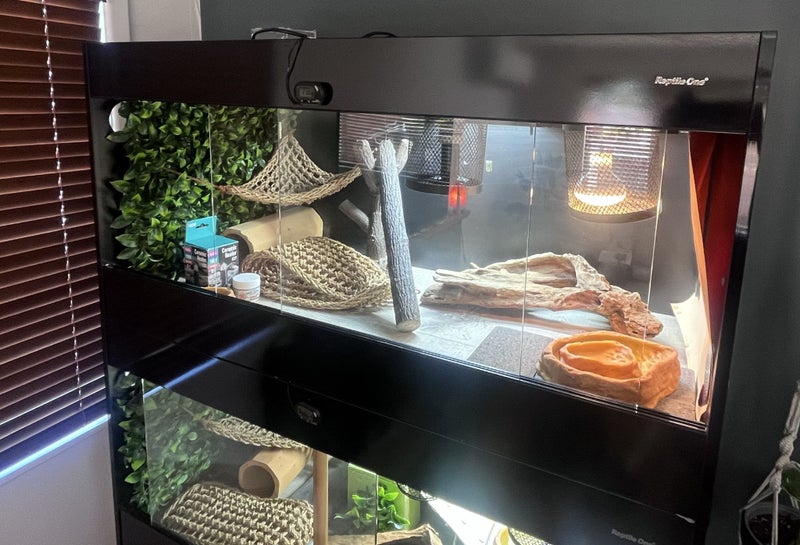 Bearded dragon terrarium x1 Carousel 8