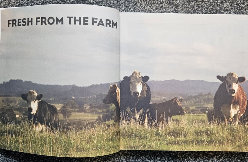 MATAKANA, BY LAURAINE JACOBS64525336943362112