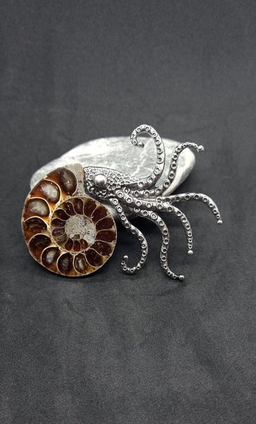 Ammonite fossil brooch Carousel 1