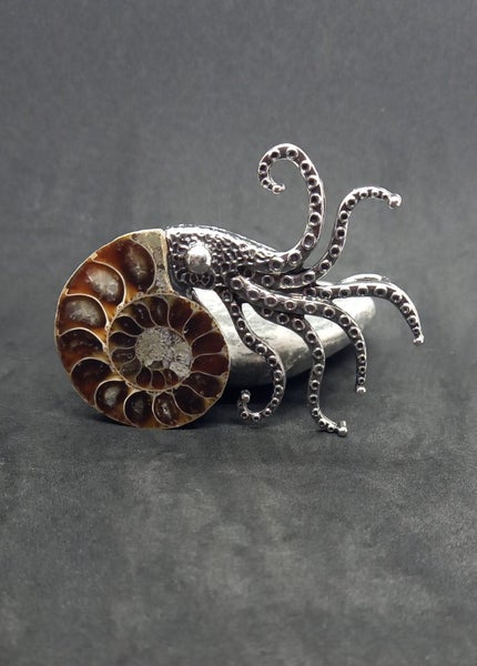 Ammonite fossil brooch Carousel 2