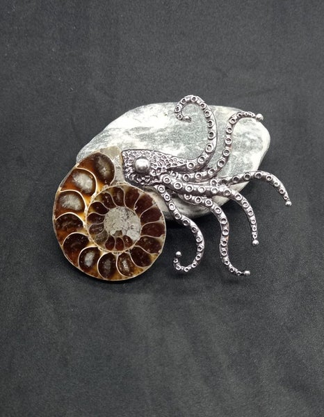 Ammonite fossil brooch Carousel 5