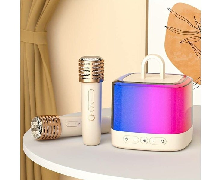 1speaker+2microphone Carousel 1