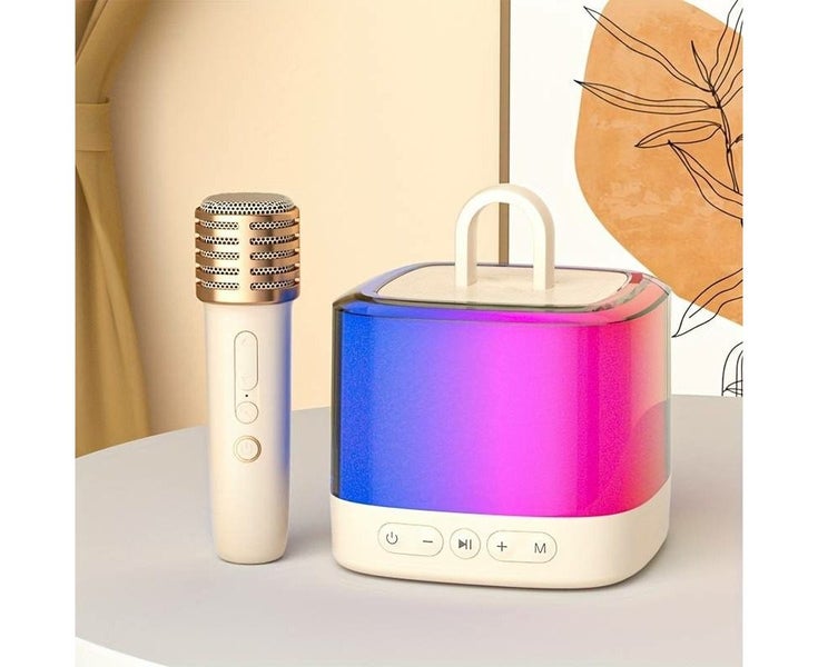 1speaker+2microphone Carousel 8