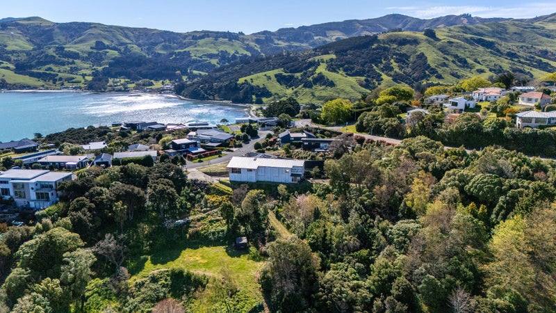 Image 2 of 43