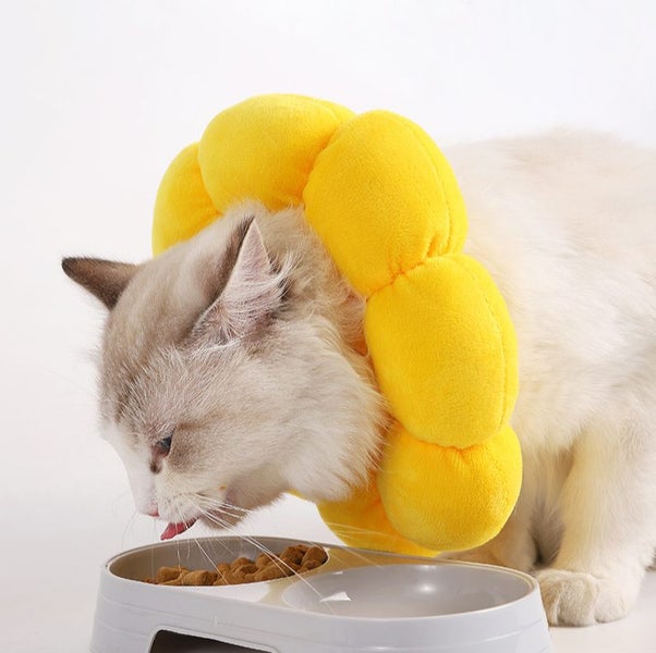 Cat Collar Soft Elizabeth Cone Sunflower Donut Carousel 2