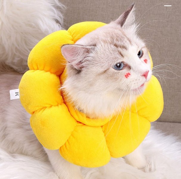 Cat Collar Soft Elizabeth Cone Sunflower Donut Carousel 1