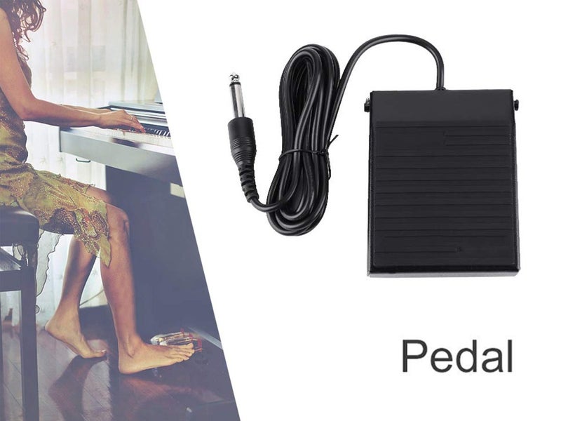 Keyboard Sustain Pedal NZ Clearance Carousel 2