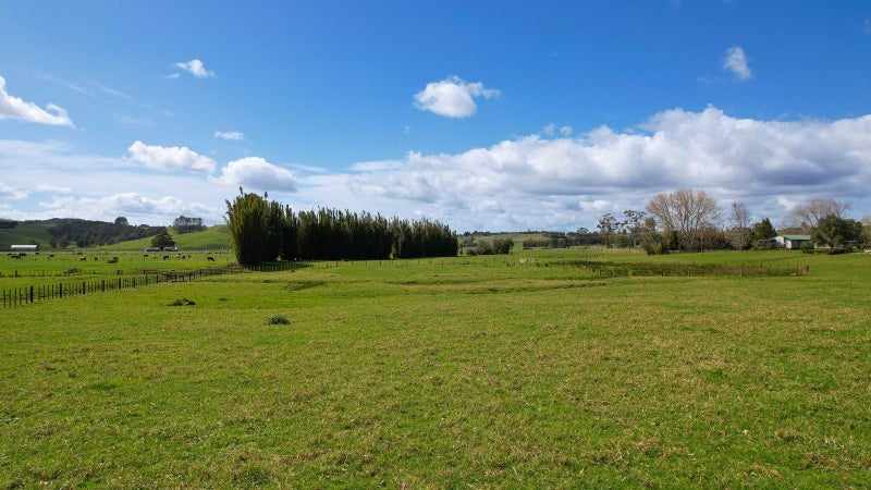 Image 2 of 15