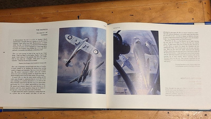 Wings, Combat Aircraft of the Second World War in Paintings. Carousel 2