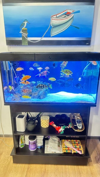 Fish Tank Carousel 1