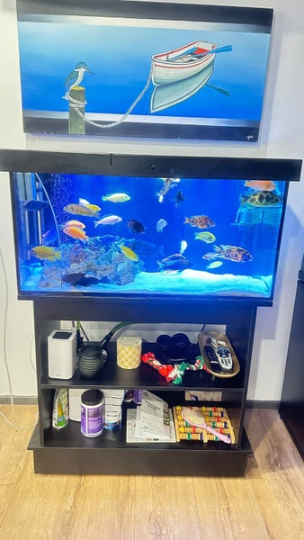 Fish Tank Carousel 2