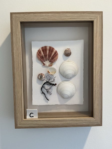 Unique and original one of the kind for your home must have Carousel 1