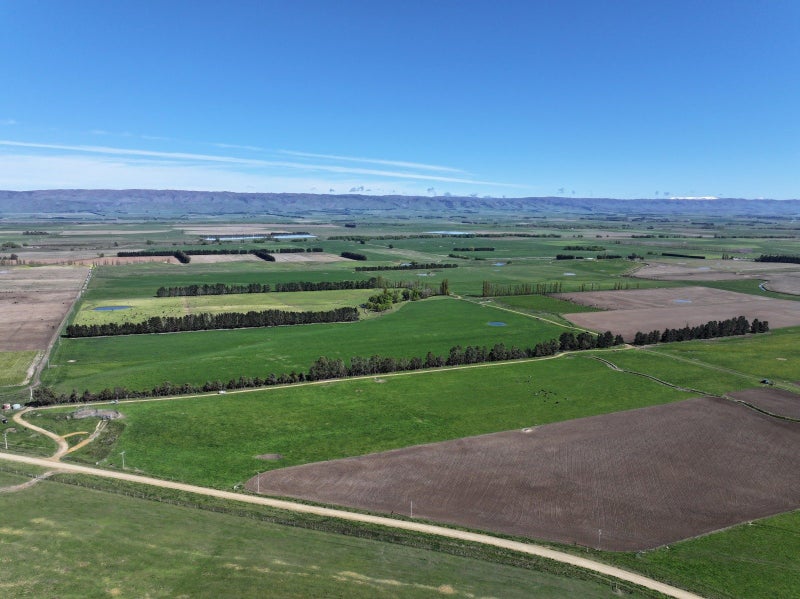 Rothesay Downs63962320403329112