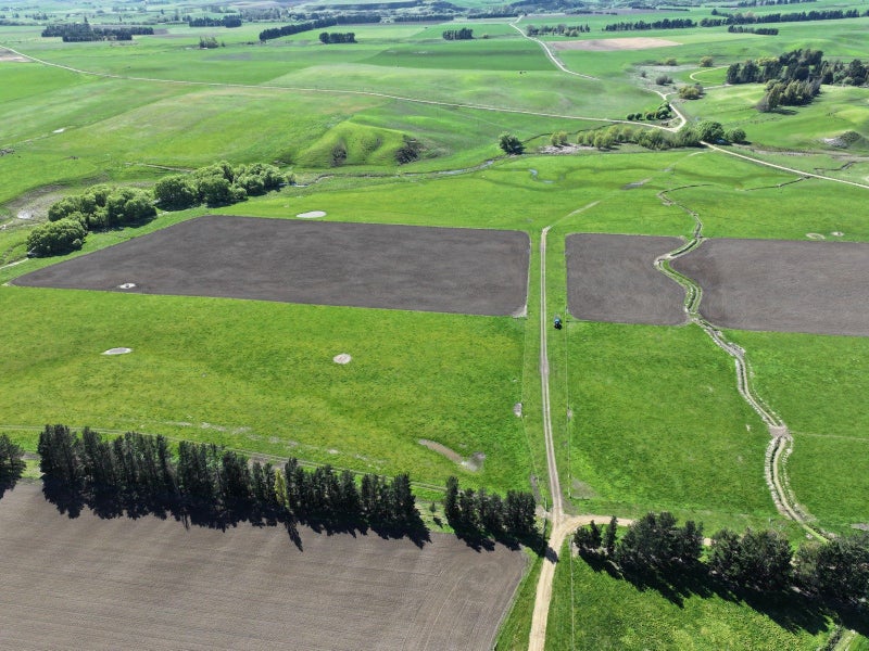 Rothesay Downs63962320403329113