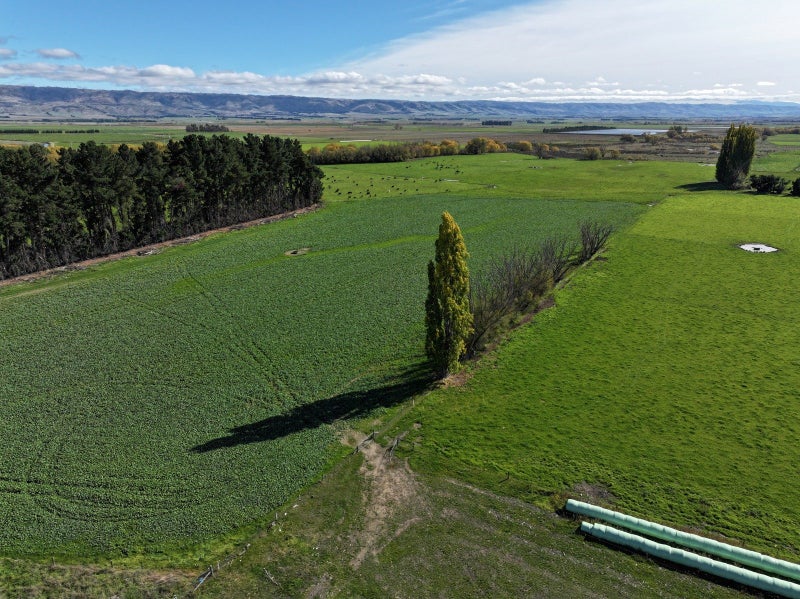 Modern Home on Irrigation Block63964104453633114