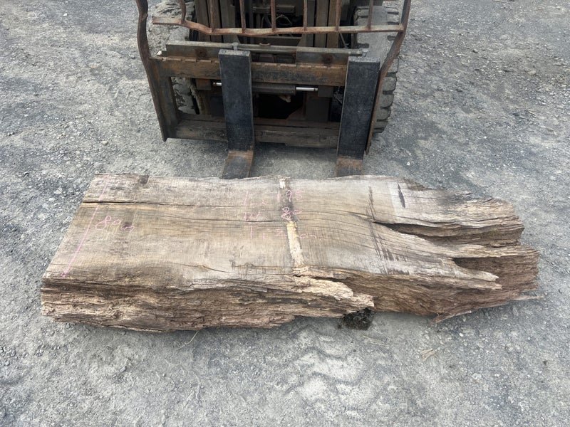 Heavy North Rata Slab – Rare NZ Native Hardwood Carousel 1