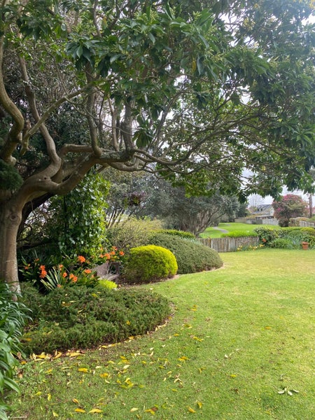 Image 2 of 30
