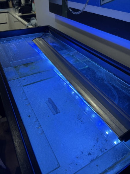 Fish Tank Carousel 4