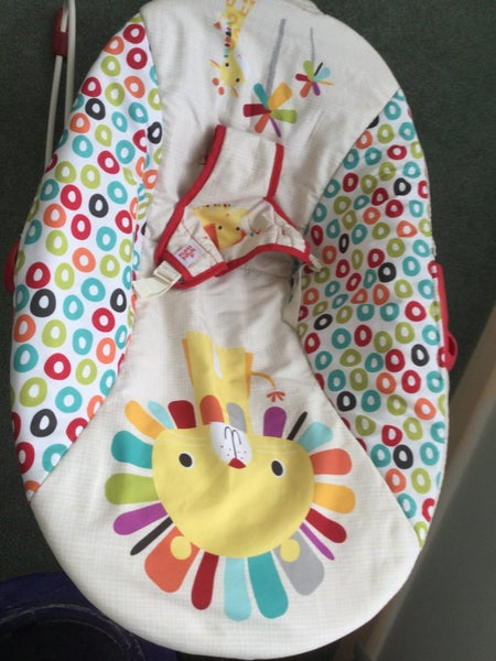 Bright Start baby bouncer with gentle vibration Carousel 1