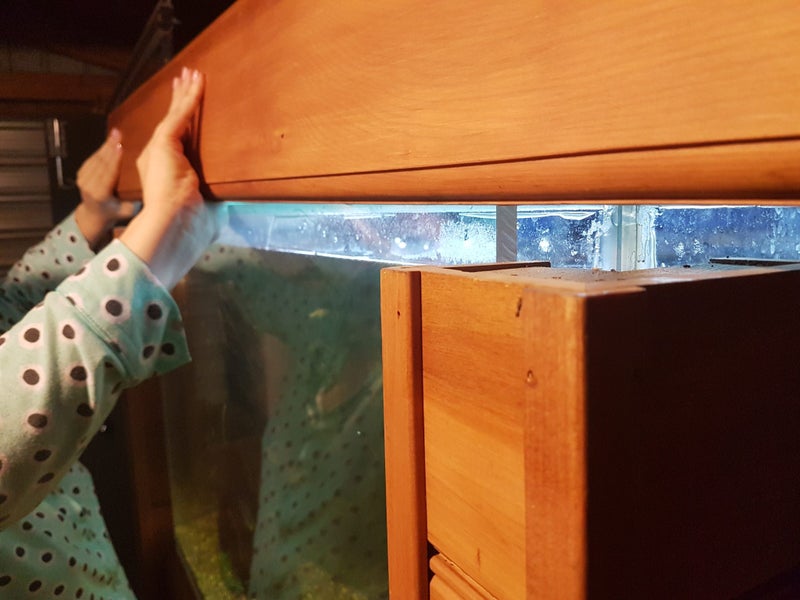 Solid rimu aquarium fish tank setup complete Carousel 4