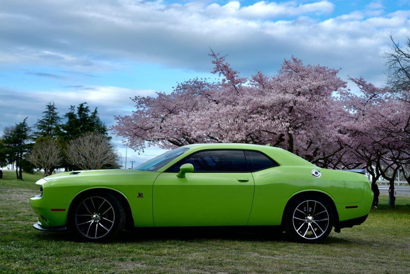 2015 Dodge Challenger R/T Scat Pack 6.4L HEMI V863884650584961111