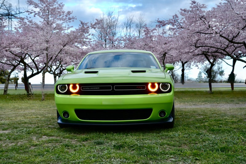 2015 Dodge Challenger R/T Scat Pack 6.4L HEMI V863884650584961113