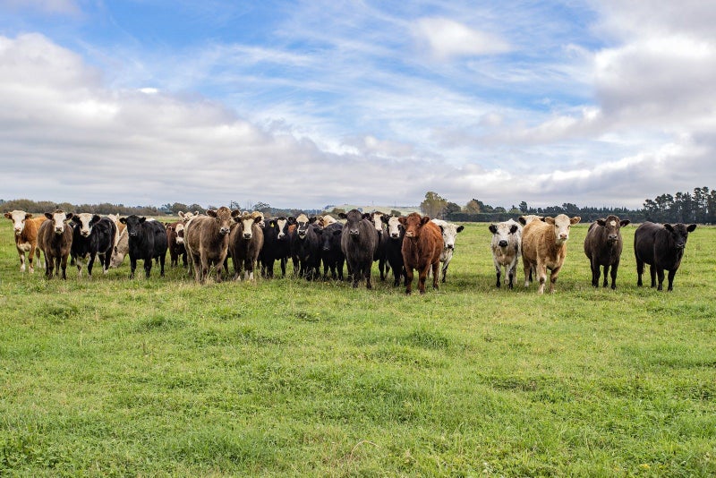 Bare Land on Bennetts64681886205443111