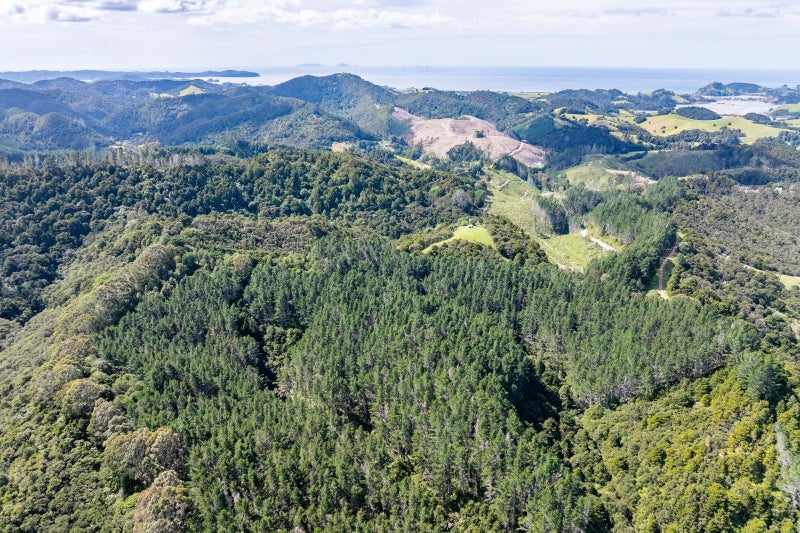 Image 1 of 16