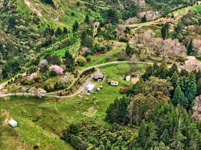 60ha Hunting and lifestyle block63886216793474113