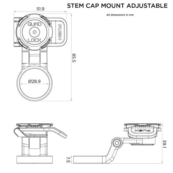 Quad Lock Adjustable Stem Cap Mount Carousel 6
