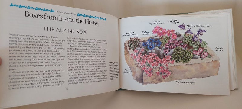 THE WINDOW BOX BOOK for CONTAINER GARDENS64141709106690112