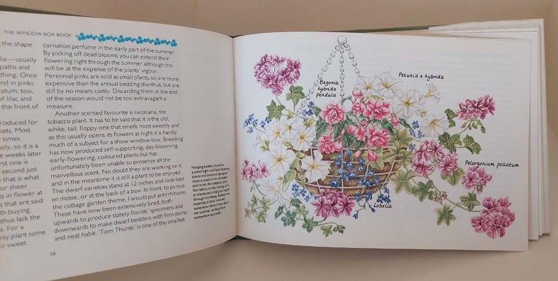 THE WINDOW BOX BOOK for CONTAINER GARDENS64141709106690114