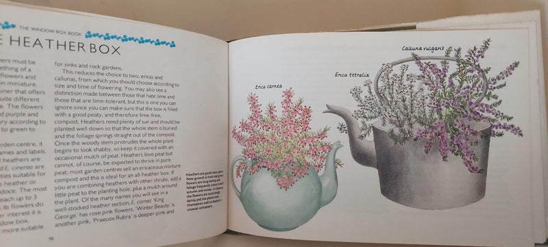 THE WINDOW BOX BOOK for CONTAINER GARDENS64141709106690111